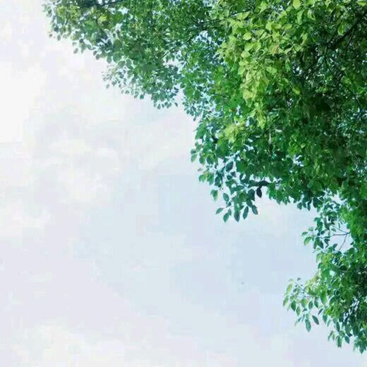 志志雄真实（身份：维新派刽子手、剑心老冤家） - 少儿动画片免费在线观看 - 线上看视频